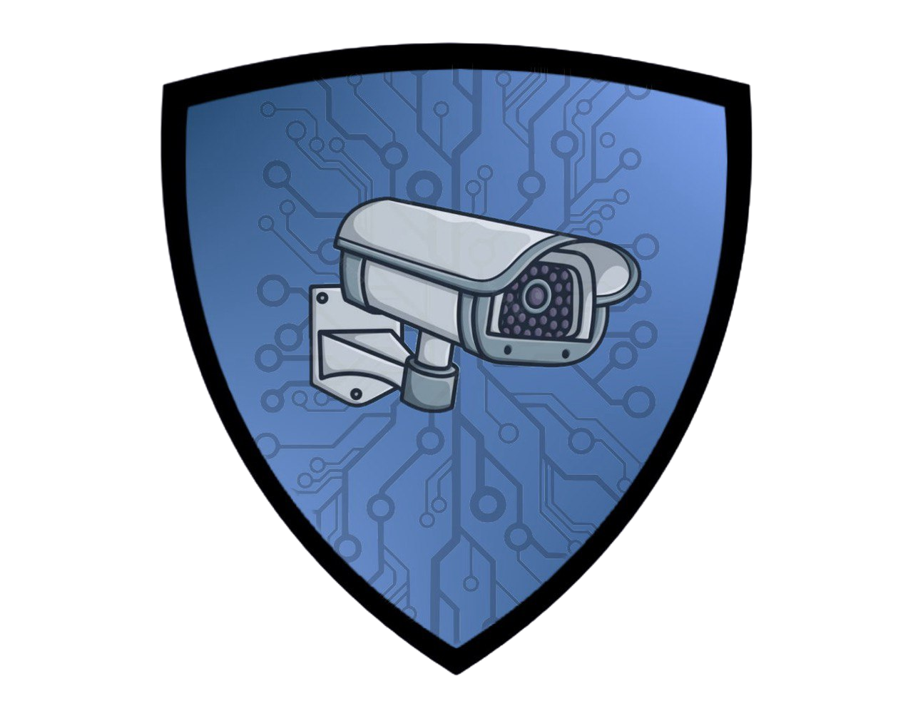 DigitalSecurity Logo